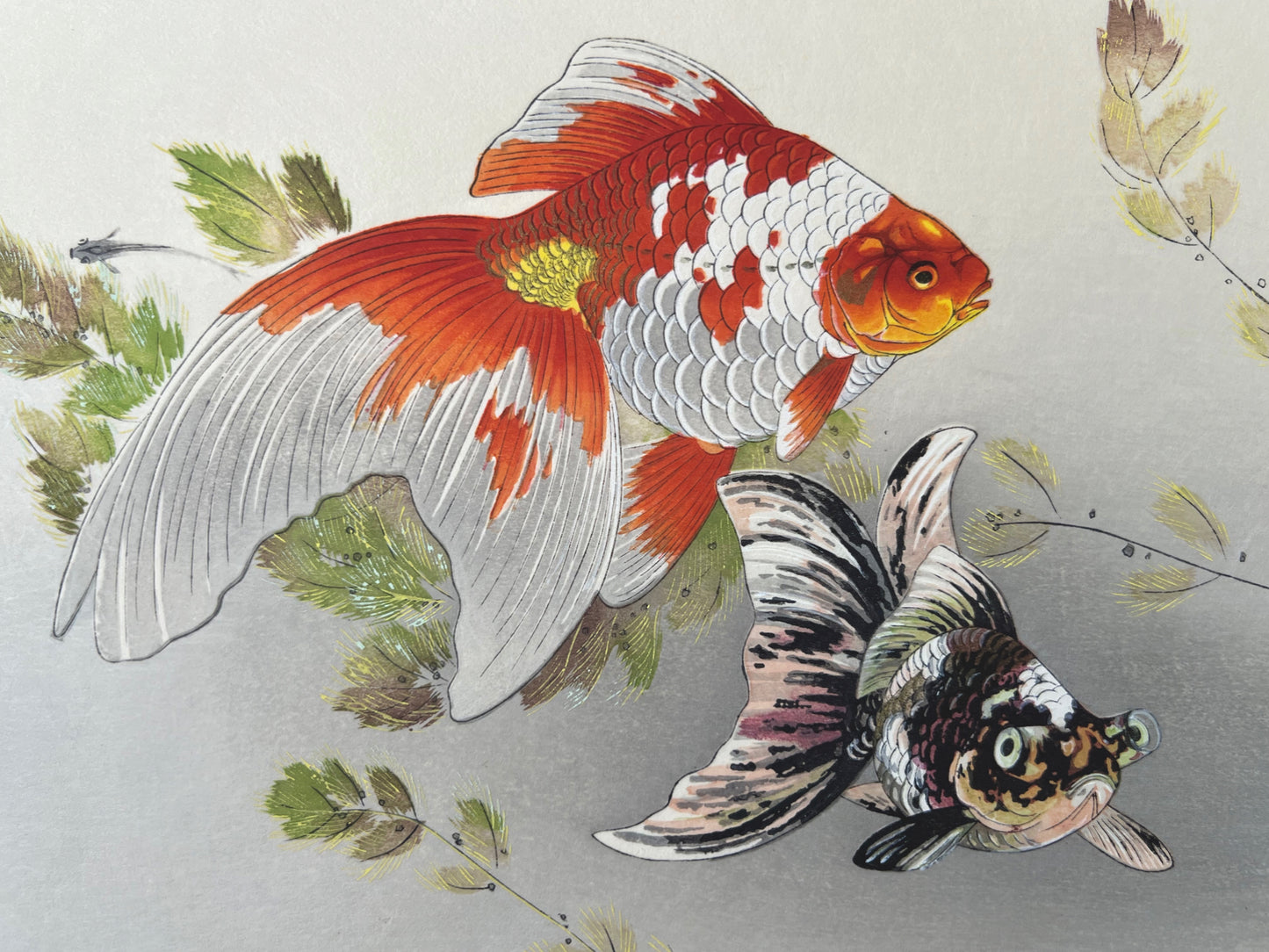 UCHIWA GALLERY  Estampe Japonaise de Poissons Rouges - Goldfish