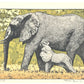 Estampe japonaise de Yoshida Toshi, un éléphant avec son petit 