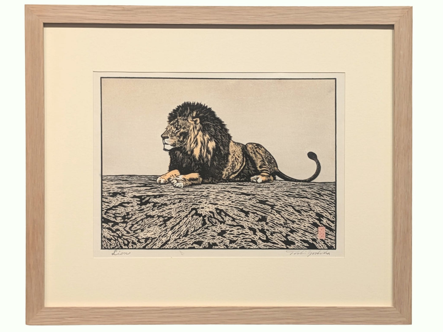 Estampe japonaise de Yoshida Toshi, lion couché, attitude majestueuse. Avec cadre en chêne