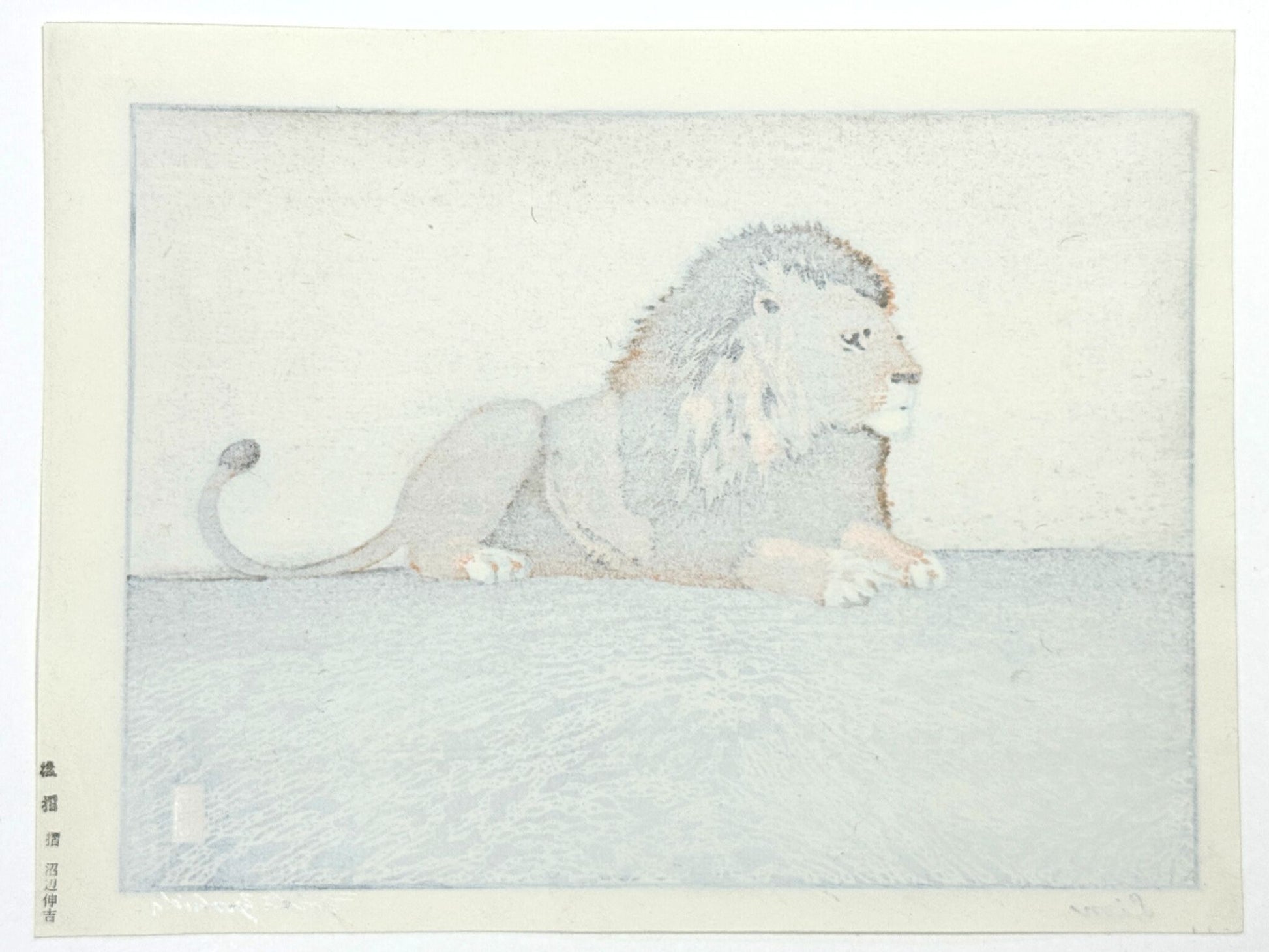 Estampe japonaise de Yoshida Toshi, lion couché, attitude majestueuse, le verso de l'estampe