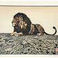 Estampe japonaise de Yoshida Toshi, lion couché, attitude majestueuse