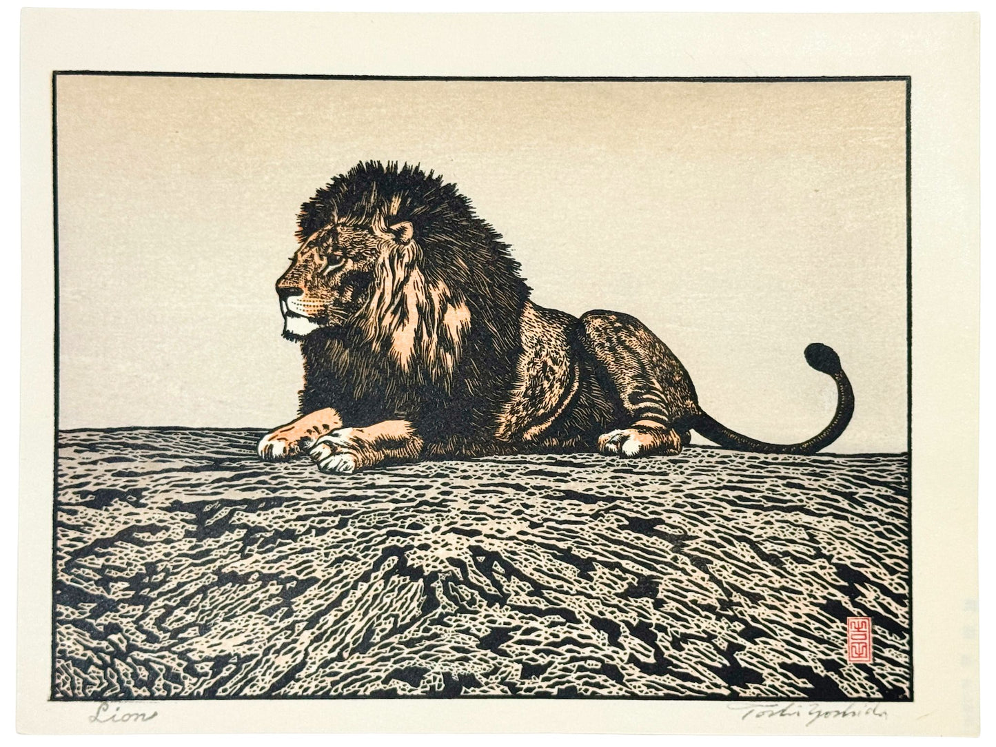 Estampe japonaise de Yoshida Toshi, lion couché, attitude majestueuse