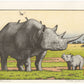 Estampe japonaise de Yoshida Toshi, rhinoceros avec son petit et oiseaux piqueboeuf