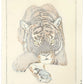 estampe japonaise de Yoshida Toshi, un tigre couché avec regard perçant, le verso de l'estampe