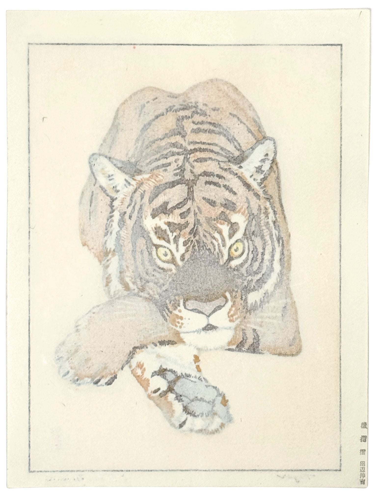 estampe japonaise de Yoshida Toshi, un tigre couché avec regard perçant, le verso de l'estampe