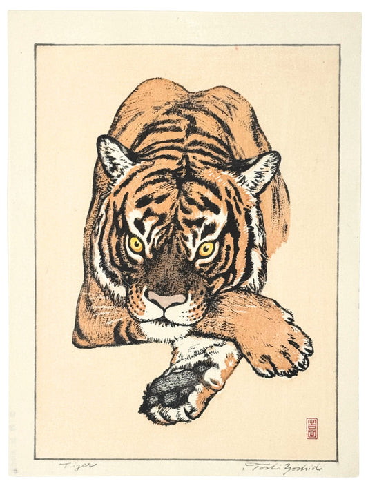 estampe japonaise de Yoshida Toshi, un tigre couché avec regard perçant