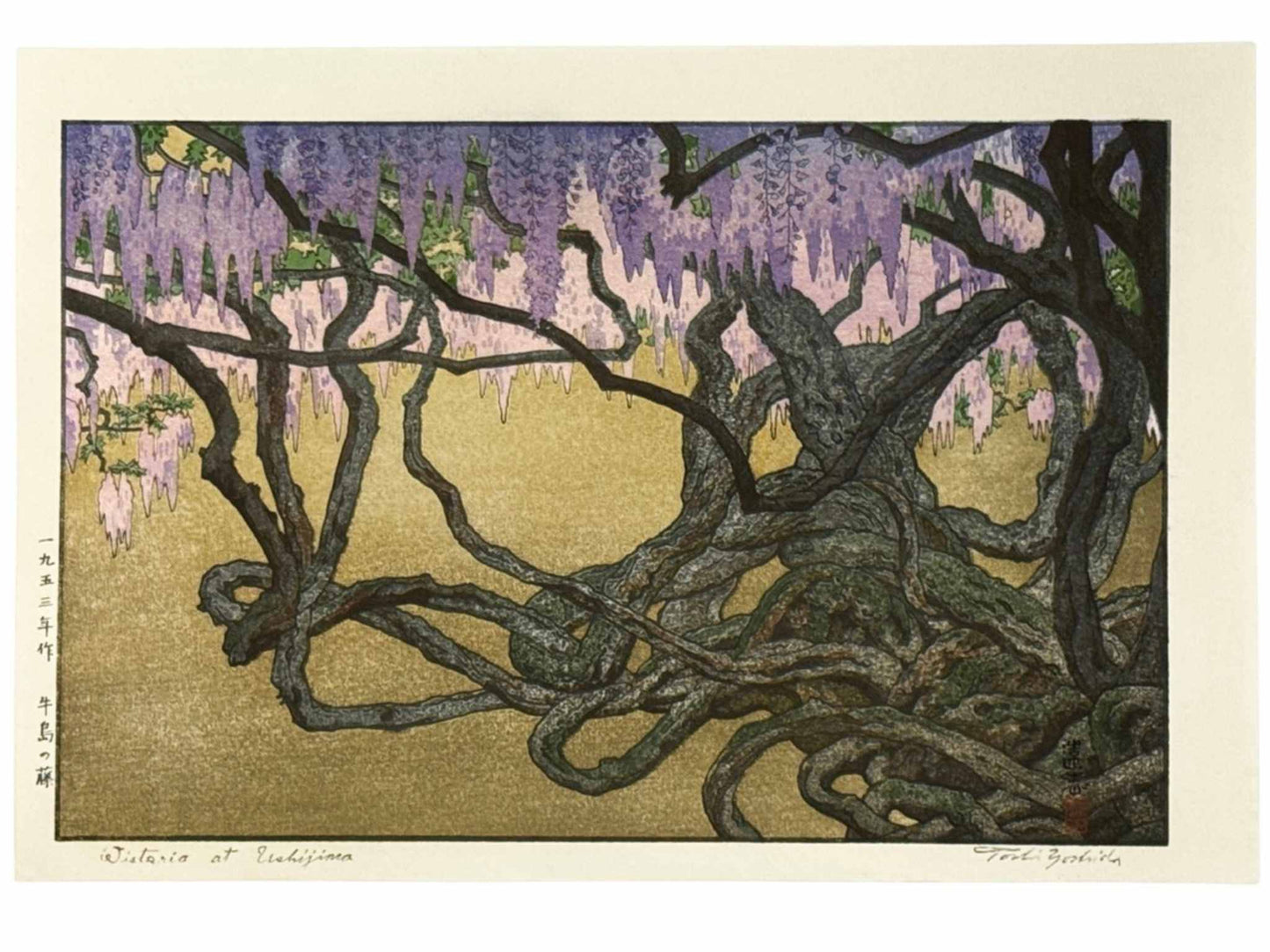 Estampe Japonaise de Yoshida Tôshi représentant les branches noueuses des  glycines millénaires du jardin Tōka-en 