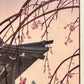 estampe japonaise de yoshida toshi cloche du temple heirinji au printemps arbre en fleurs, gros plan sakura fleurs de cerisier