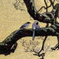Estampe Japonaise de Yoshida Tо̄shi - Prunier et Pies Bleues