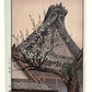 Estampe Japonaise de Yoshida Toshi | Prunier en Fleurs