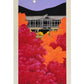 Estampe Japonaise contemporaine de Teruhide Kato Temple Tofuku derriere les érables rouges et oranges à l'automne, la pleine lune dans un ciel violet