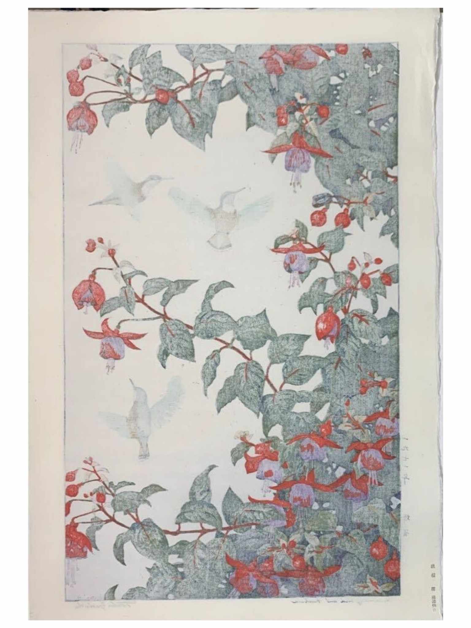 Estampe Japonaise Yoshida Toshi Colibris et Fushias dos