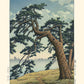 estampe japonaise paysage arbre de magnifiques pins dont les branches se couchent vers la vallée brumeuse