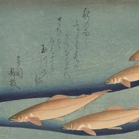tirage d'art estampe japonaise Hiroshige  banc de truite sur fond bleu de l'eau, avec poême calligraphié, Uchiwa Gallery