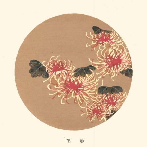 estampe de chrysantheme blanc et rouge sur fond neige-rosé représenté dans un rond chez Uchiwa Gallery