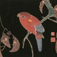 estampe japonaise oiseau, perroquet rouge à queue bleue sur une branche de chëne, tirage d'art, Uchiwa Gallery 