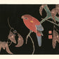 estampe japonaise oiseau, perroquet rouge à queue bleue sur une branche de chëne, tirage d'art, Uchiwa Gallery 