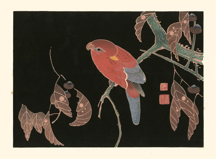 estampe japonaise oiseau, perroquet rouge à queue bleue sur une branche de chëne, tirage d'art, Uchiwa Gallery 