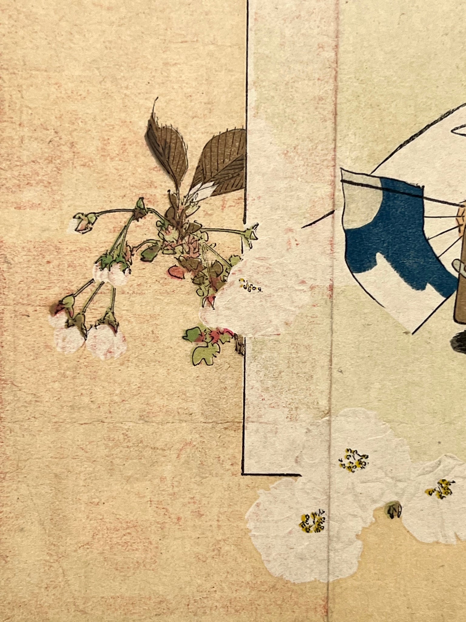 Estampe Japonaise de Kajita Hanko | Jeune guerrier et cerisier en fleurs détail