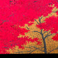 estampe japonaise contemporaine érables rouges à l'automne, feuillage rouge et or