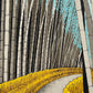 estampe japonaise de teruhide kato un chemin dans la foret de bambous géants a arashiyama, le chemin bordé de palissade de paille jaune