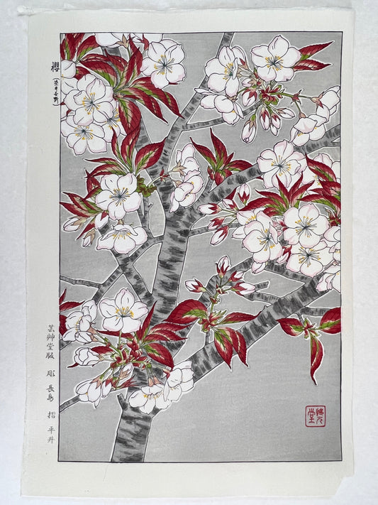 Estampe Japonaise de Kawarazaki Shodo | Cerisier en fleur