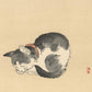 estampe japonaise chat noir et blanc avec collier couleur saumon endormi, tirage d'art chez Uchiwa Gallery