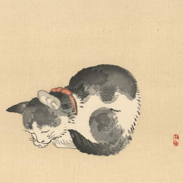 estampe japonaise chat noir et blanc avec collier couleur saumon endormi, tirage d'art chez Uchiwa Gallery