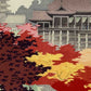 estampe japonaise de kawai kenji kiyomizu a l'automne, gros plan sur les érables rouges et jaunes