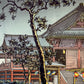 Estampe Japonaise de Koitsu Tsuchiya | Temple KiyomizuEstampe Japonaise de Koitsu Tsuchiya Temple Kiyomizu la nuit, gros plan sur l'arbre devant le temple