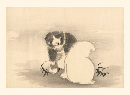 estampe japonaise deux chiots noir et blancs jouant, chez Uchiwa Gallery
