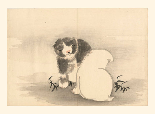 estampe japonaise deux chiots noir et blancs jouant, chez Uchiwa Gallery