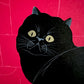 Estampe de Nishida Tadashige look back chat noir, gros plan sur l tête du chat et ses yeux or