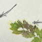 estampe japonaise contemporaine deux poissons rouges japonais et plante élodée, gros plant sur la plantes et petits poissons