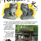Livre Torii, Temples et Sanctuaires Japonais