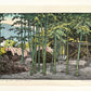 estampe japonaise forêt de bambou