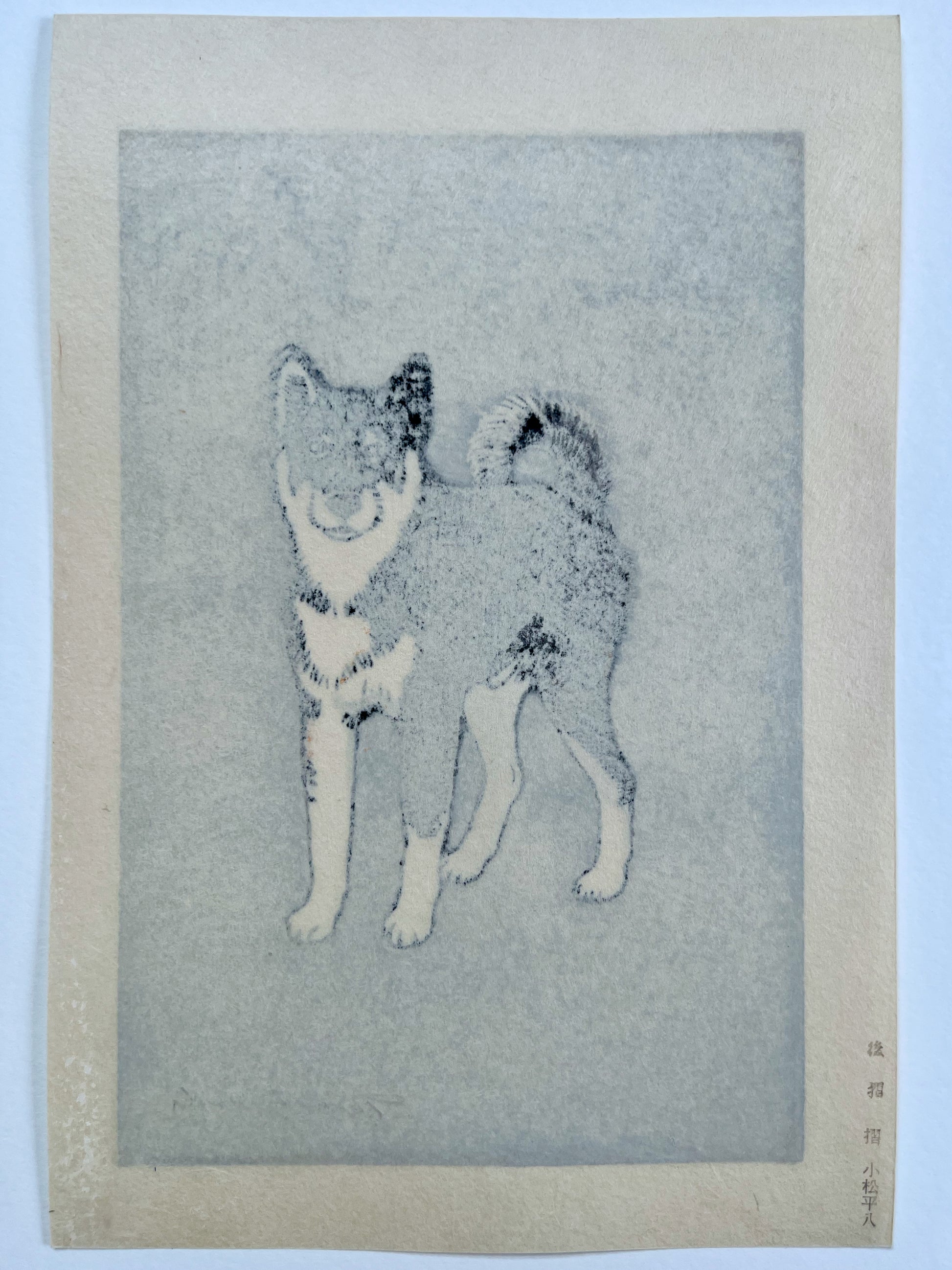 estampe japonaise chien de chiba de dos