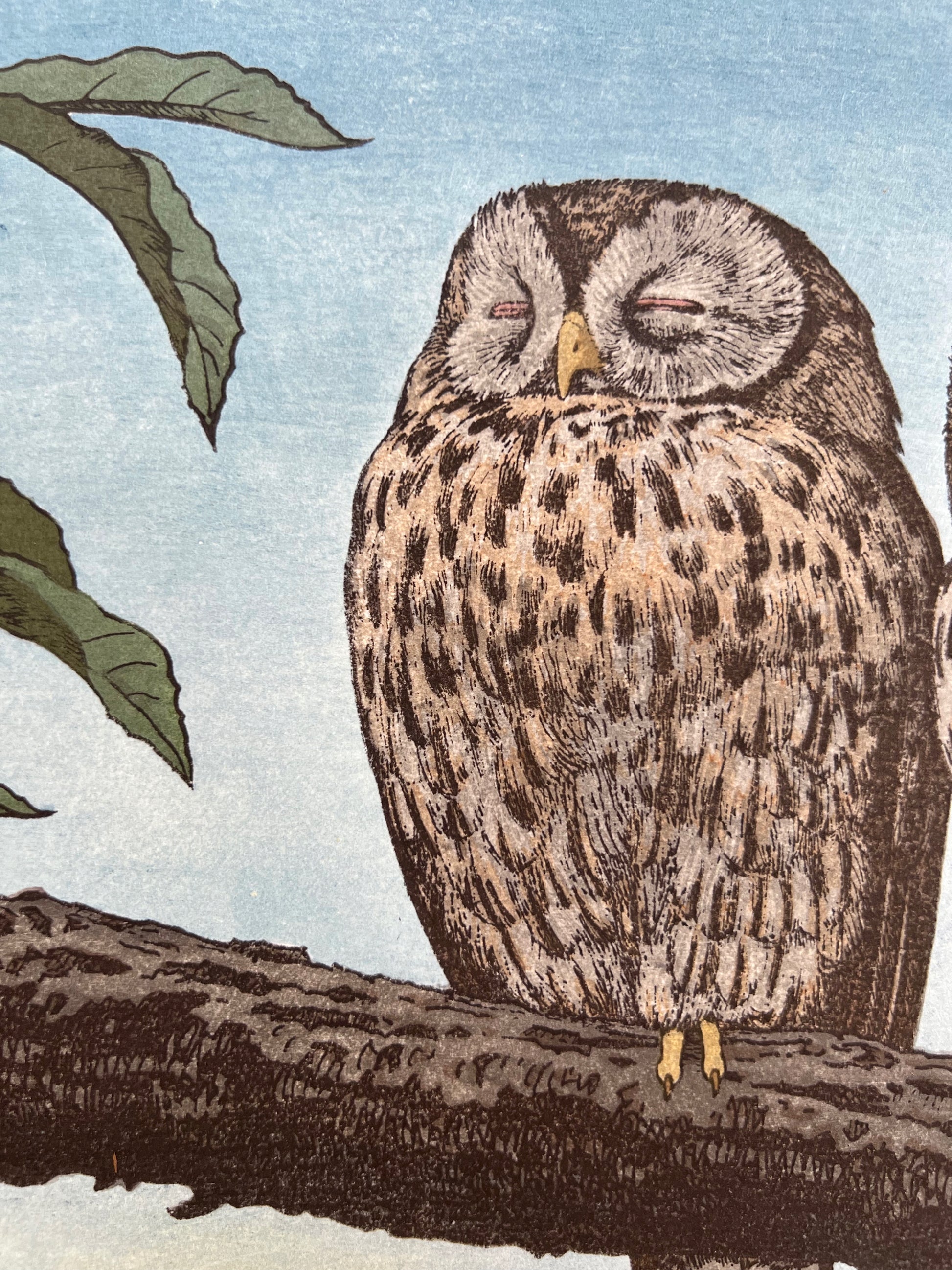 estampe japonaise oiseau hiboux sur branche pleine lune, gros plan sur l'hibou yeux fermés