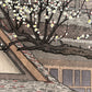 estampe japonaise prunier en fleurs au printemps devant un temple, gros plan sur les fleurs blanches de pruniers