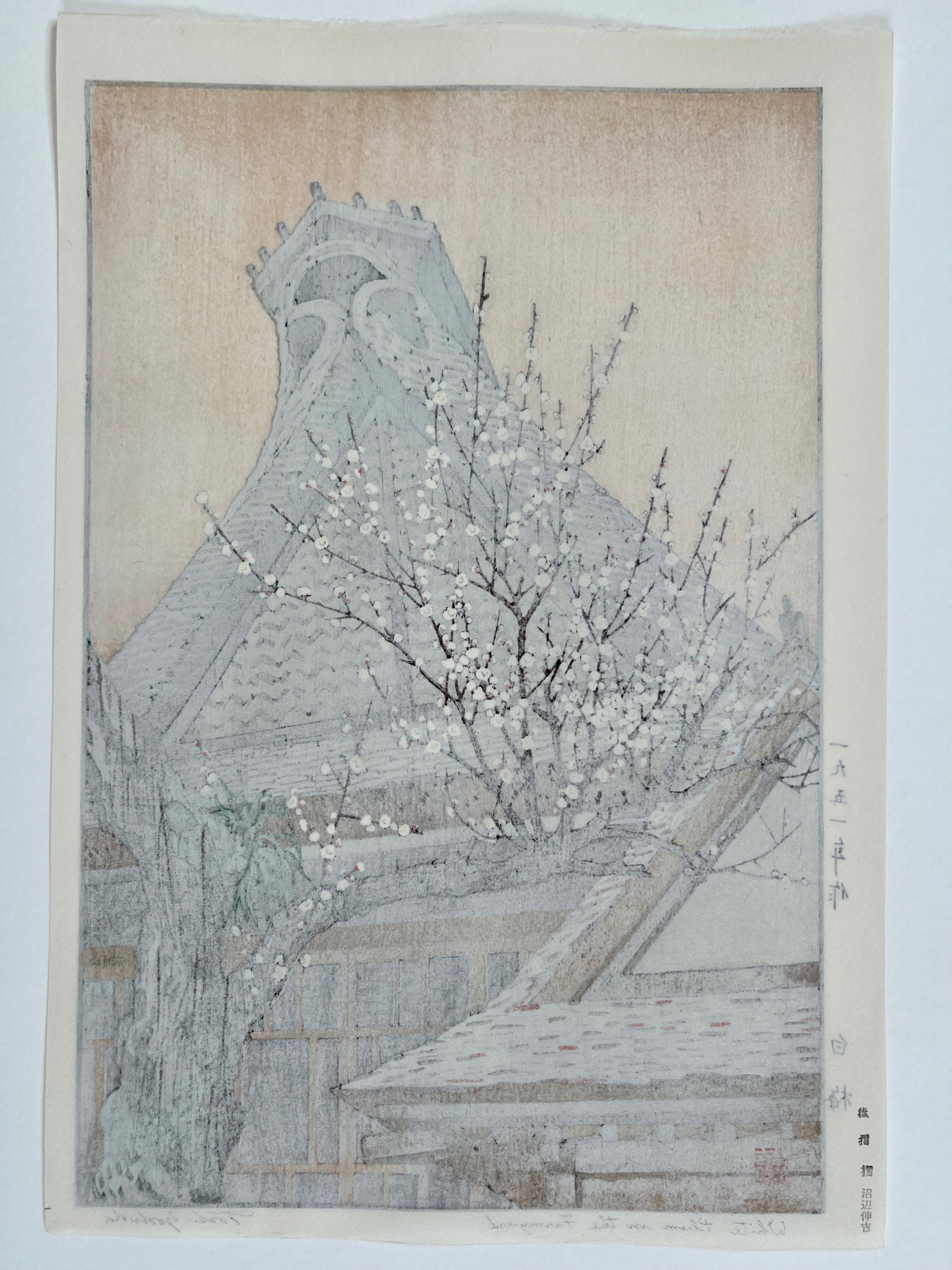 estampe japonaise prunier en fleurs au printemps devant un temple, dos de l'estampe